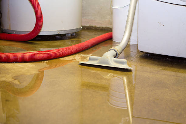 Reliable Head Of The Harbor, NY Water damage restoration Solutions