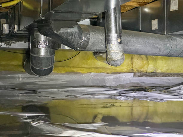 Best Ceiling water damage repair  in Head Of The Harbor, NY
