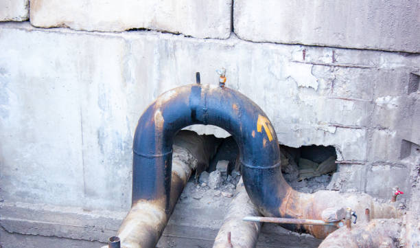 Best Professional water damage repair  in Head Of The Harbor, NY